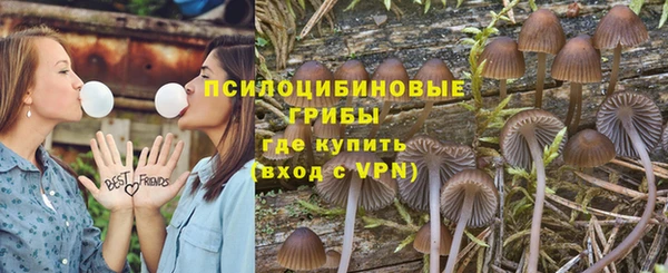 ешки Александровское