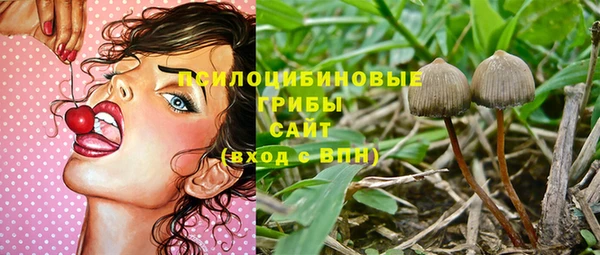 героин Лагань