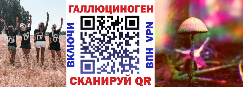Псилоцибиновые грибы MAGIC MUSHROOMS  купить наркоту  Усть-Джегута 