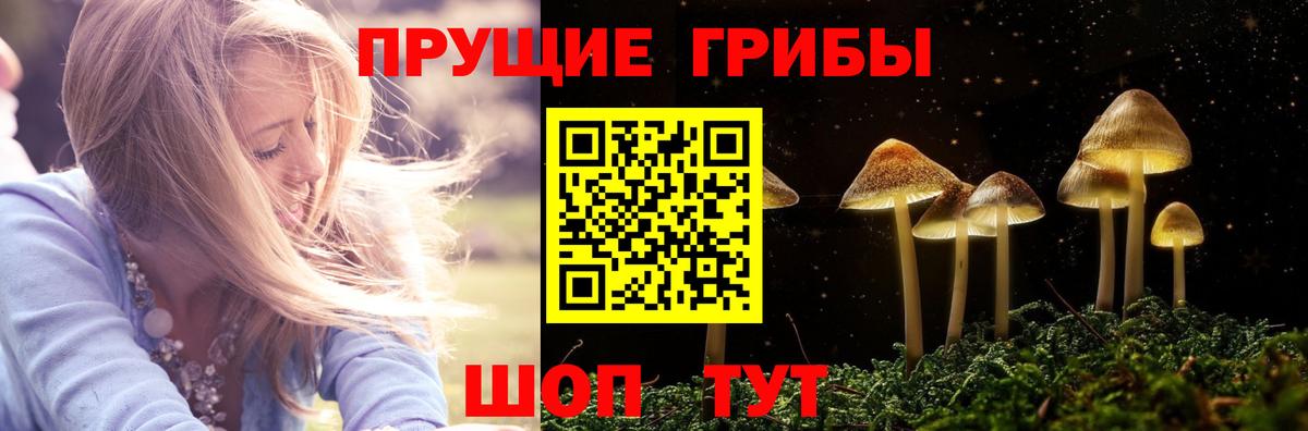 Усть-Джегута  Галлюциногенные грибы мухоморы  Вход с VPN 