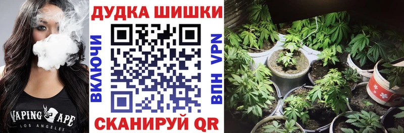 МАРИХУАНА ГИДРОПОН наркотики Усть-Джегута